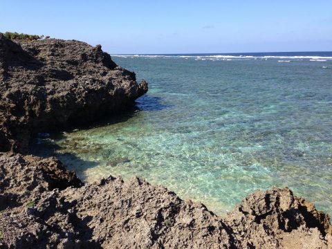 珊瑚礁の海に浮かぶ美しい鳩間島の反対側で見たものは…？