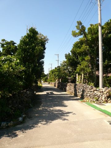 珊瑚礁の海に浮かぶ美しい鳩間島の反対側で見たものは…？