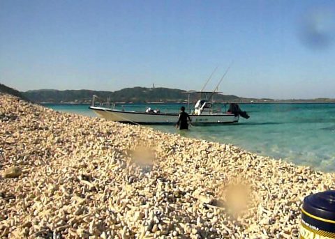 サンゴ礁の島「バラス島」へ！西表島のシュノーケリングツアーに参加