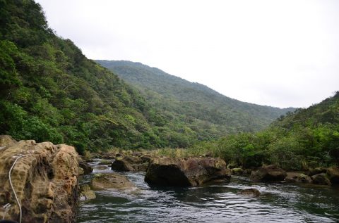 「マリュドゥの滝」「カンビレーの滝」で手軽に味わう秘境はどんなものか？西表島の浦内川観光ツアーに参加