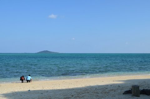 冬の沖縄で泳げるか？宮古島･西表島の海を見に行く