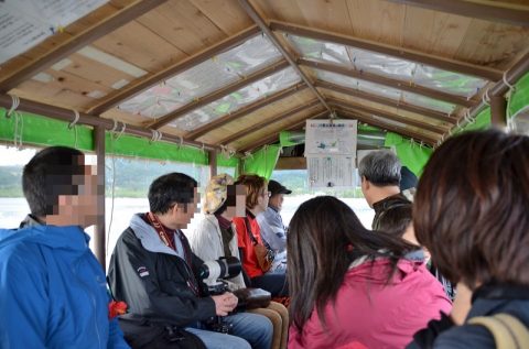 【西表島】水牛車に乗って由布島へ‐植物園で見る黄金のサナギは必見！