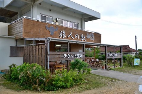 【西表島】水牛車に乗って由布島へ‐植物園で見る黄金のサナギは必見！