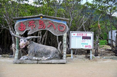 【西表島】水牛車に乗って由布島へ‐植物園で見る黄金のサナギは必見！