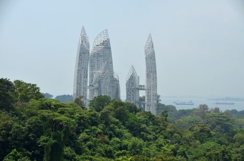 シンガポールの「サザンリッジ」で見つけた面白い鳥たち！