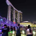 Helix Bridgeのライトアップが美しい!マリーナ湾の夜景スポットと可笑しな動物たち