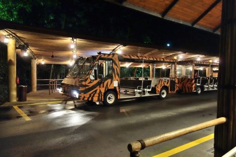 シンガポール「ナイトサファリ」トラムの車両