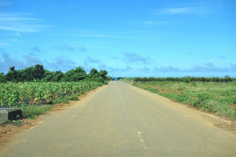 来間島の長閑な風景