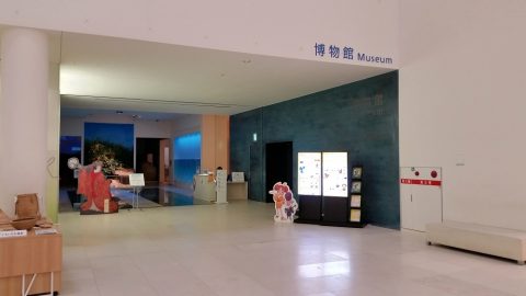 沖縄県立博物館･美術館の入口