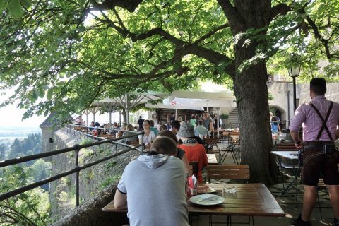 panorama-restaurant-salzburg/パラソルと樹木