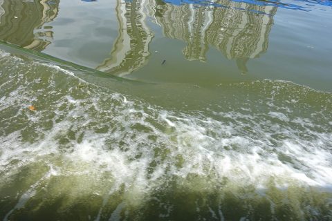 saigon-water-bus／川の水質