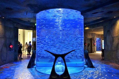 lost-chambers-aquarium／エントランスホールの水槽