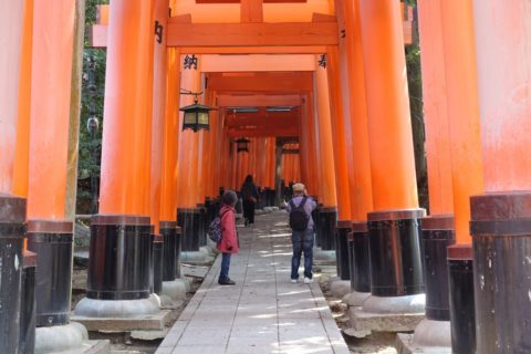 伏見稲荷大社/鳥居の混雑