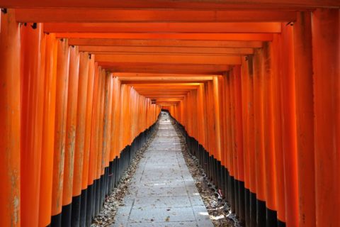 伏見稲荷大社/千本鳥居の中