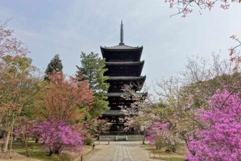 仁和寺／五重塔