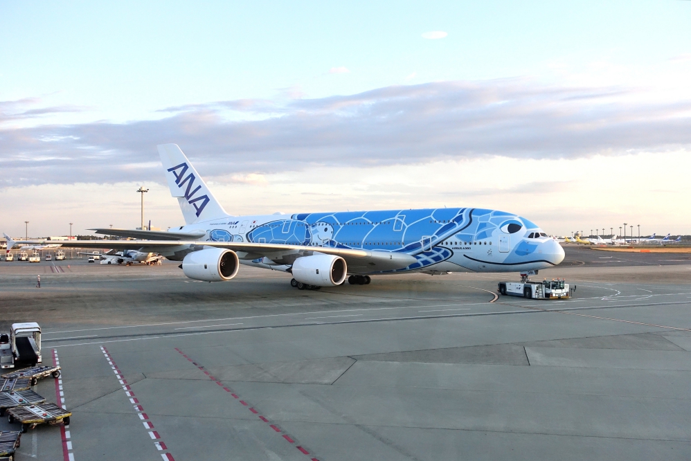 海外旅行の再開に向けて Ana特典航空券の予約と路線選びのポイント