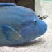 ユーモアな水族館「ニフレル」が面白い！大阪･万博記念公園エキスポシティ