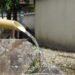 松本の城下町で美味しい「湧水」めぐり！場所による味の違いはあるか？