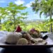 美ら海を遠くに見渡せる絶景カフェ！亜熱帯茶屋のオーシャンビューが美しい！
