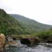 西表島「浦内川観光ツアー」レポート！秘境の魅力、マリュドゥの滝とカンビレーの滝